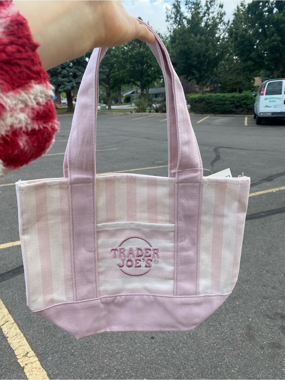 Striped Mini Tote - Picture 2 of 2